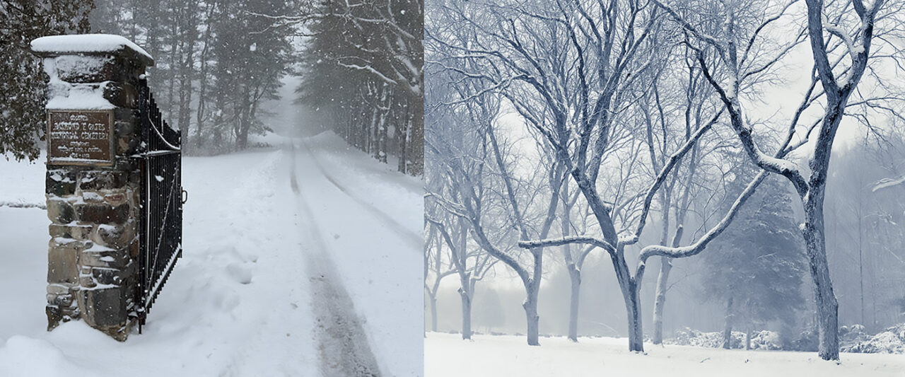 The Story Behind Every Photograph February 2024 Power Of Process   Gates Snowy Side By Side WEB 1280x533 